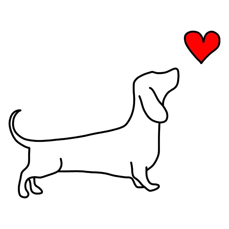 Teckel chien amour coeur