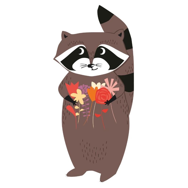 Racoon