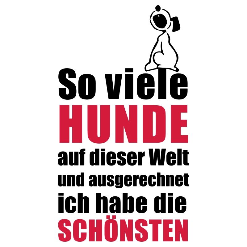 die schönsten Hunde