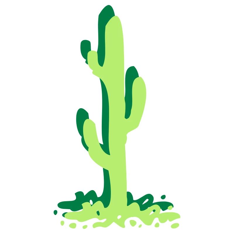 Cactus cactus cactus