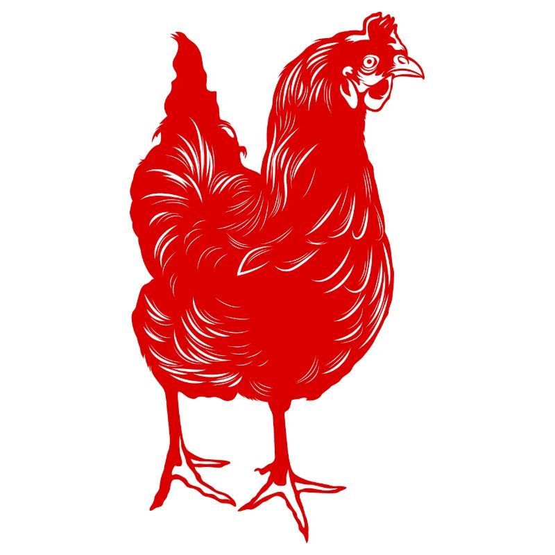 Poulet Huhn