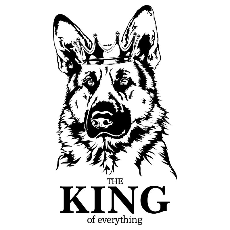 Deutscher Schäferhund King of everything Hunde