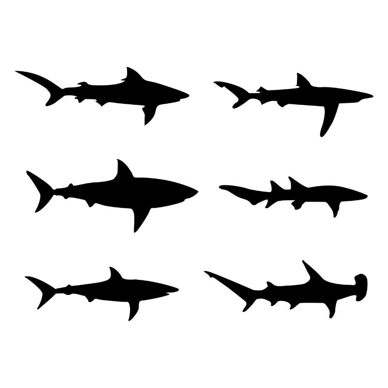 espèces de requins