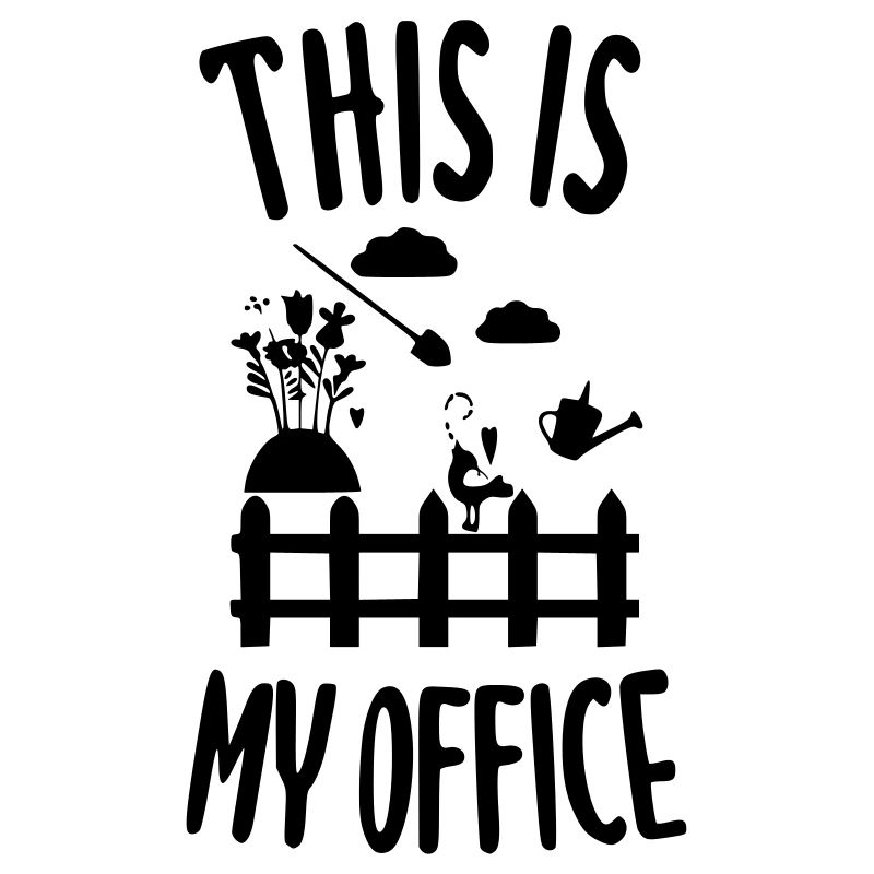 This is my office
