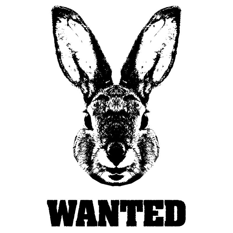 Rabbit wanted / Parody