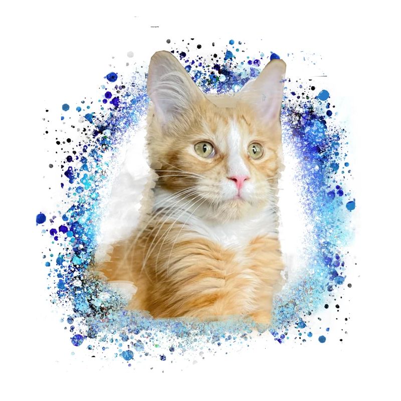 maincoon, chat, graffiti, peinture, chat Maine Coon,