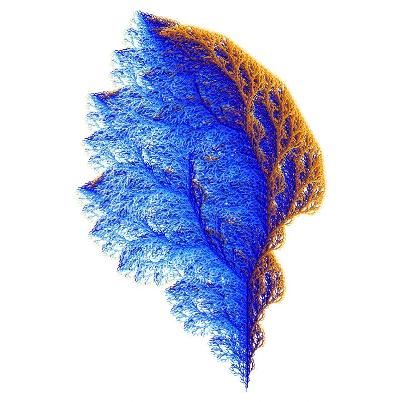 Fractal Tree #192 Mathematics Coral Julia Set