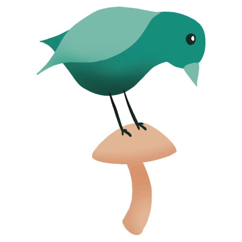 A bird on a mushroom