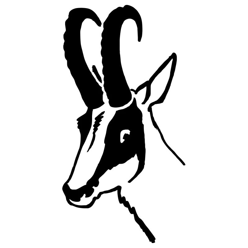 Chamois