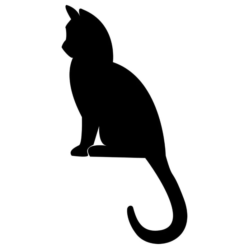 Schöne Katze