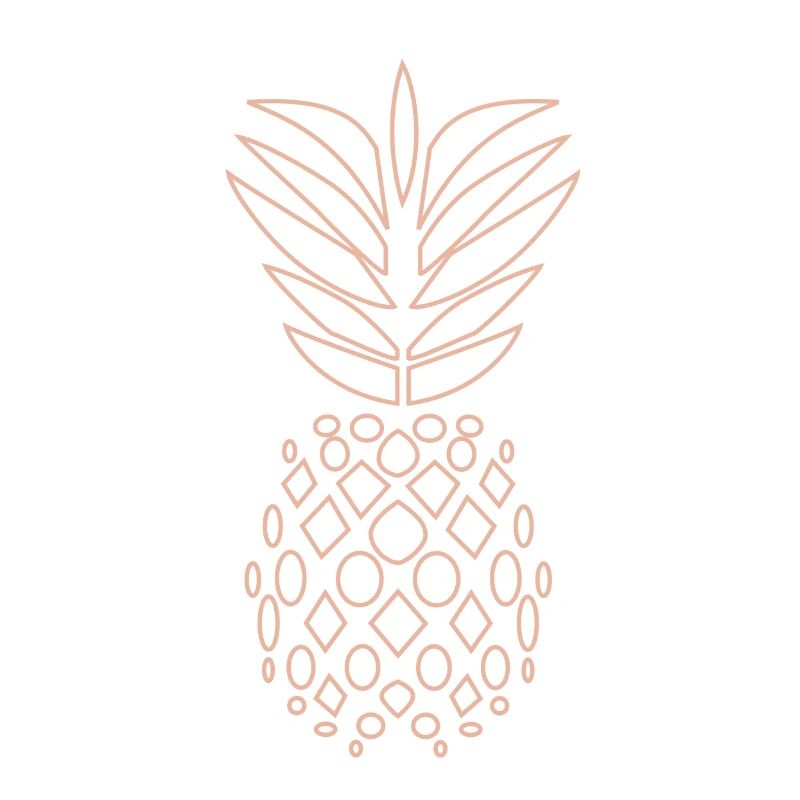Ananas graphiques