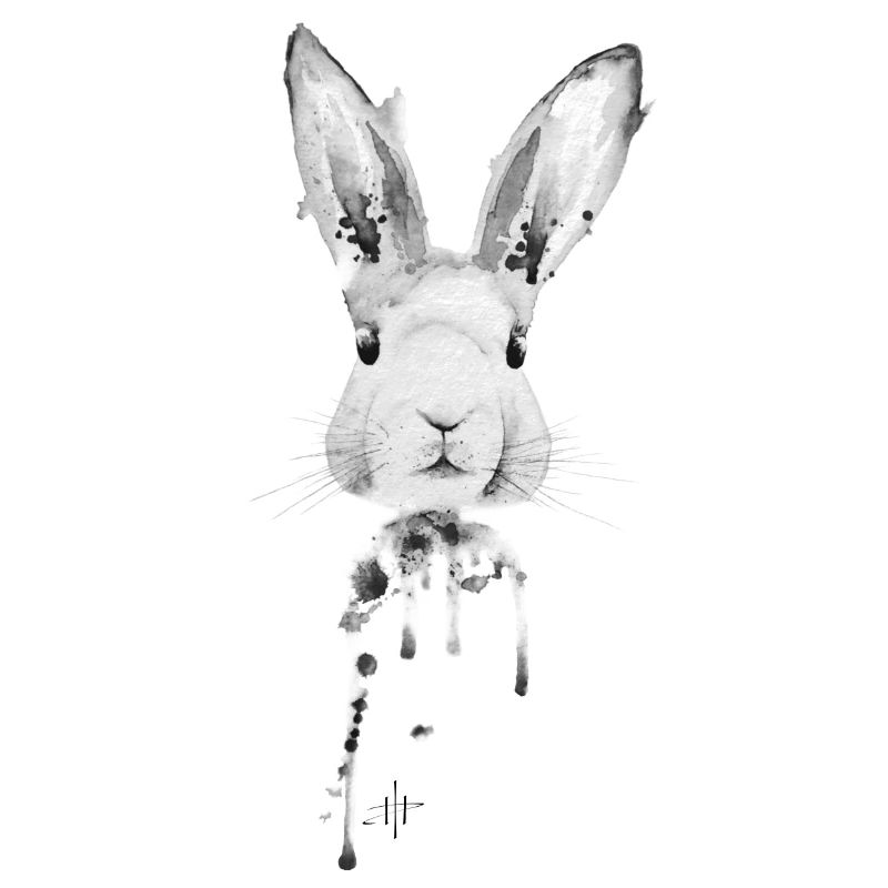Lapin Noir Blanc