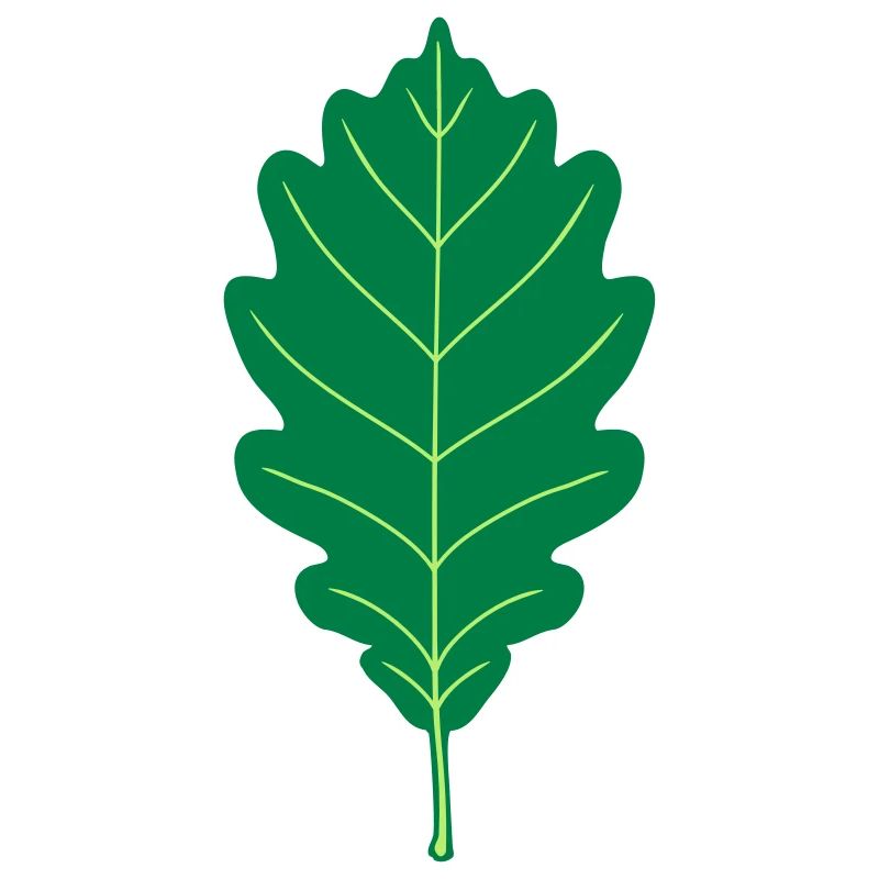 Oak Leaf