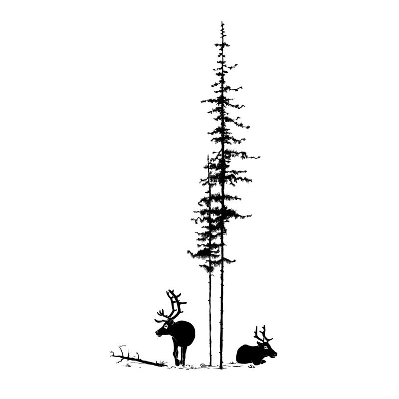 Rennes avec sapins