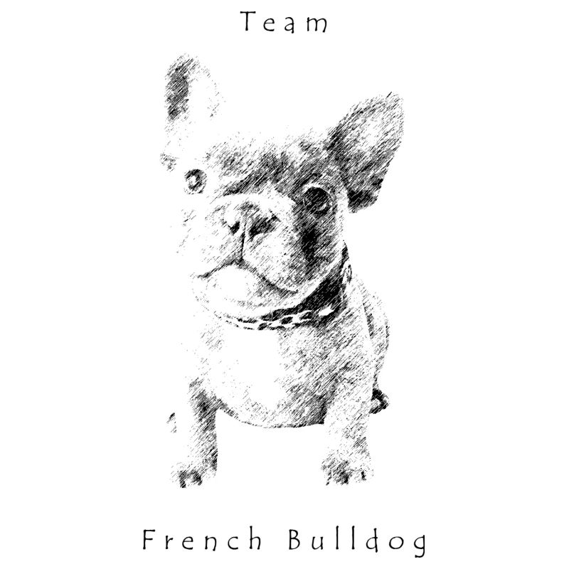 Bouledogue français de l'équipe