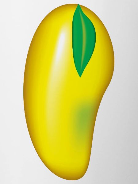 I love mango fruit