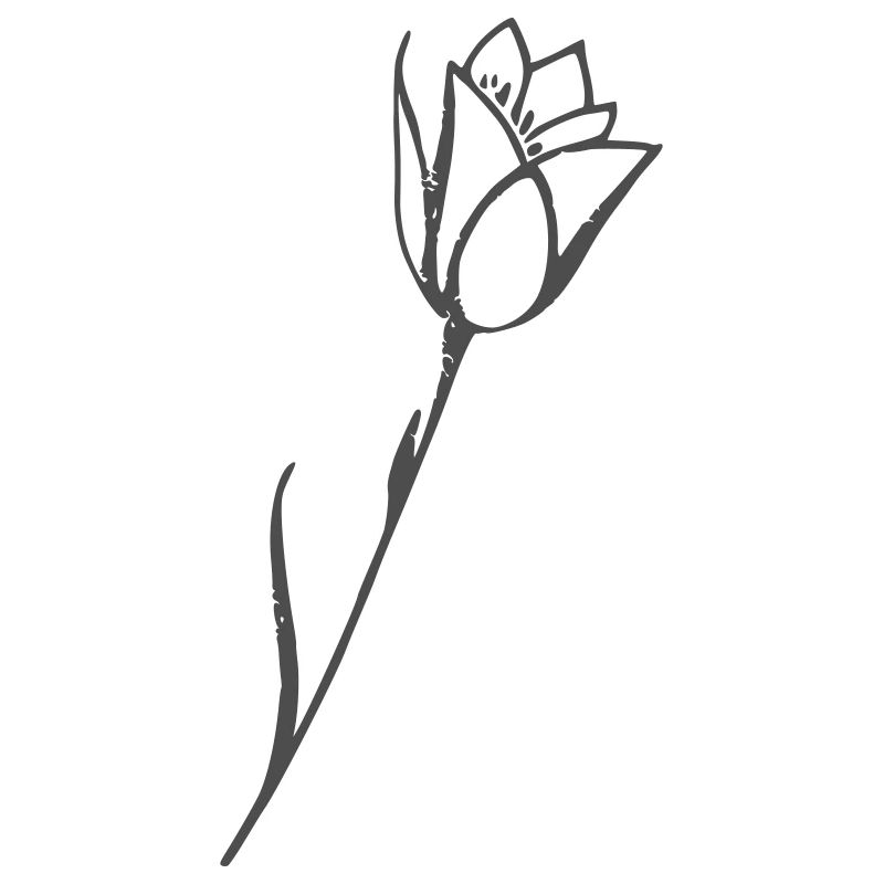 Tulipe dessin motif fleuri uni