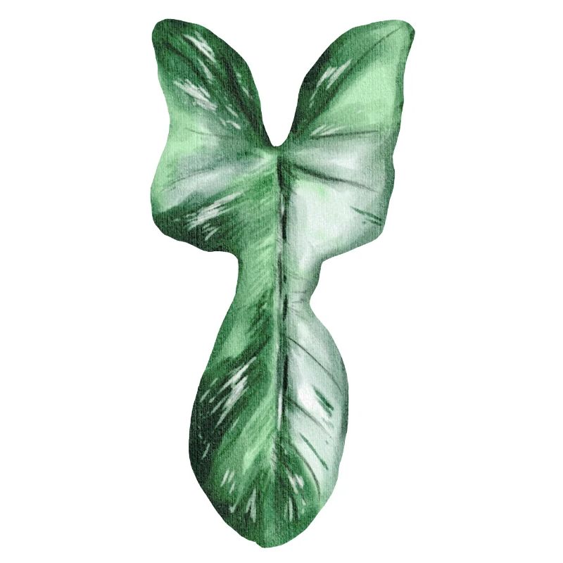 Philodendron Florida Ghost Variegata
