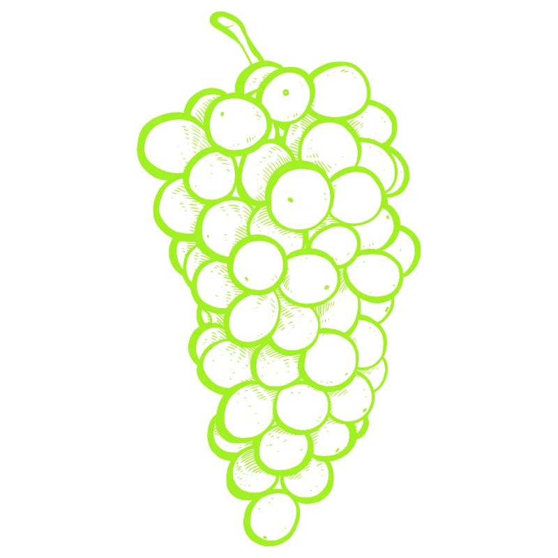 Grappe de raisins