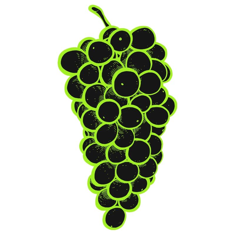 Grappe de raisins 2