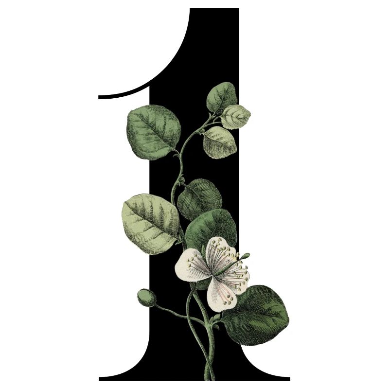 Nummer 1 Blumengrün -1. Blumengeburtstag
