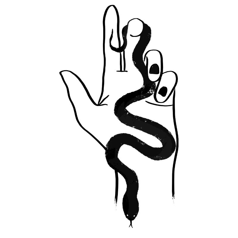 Eine schwarze Schlange in der Hand