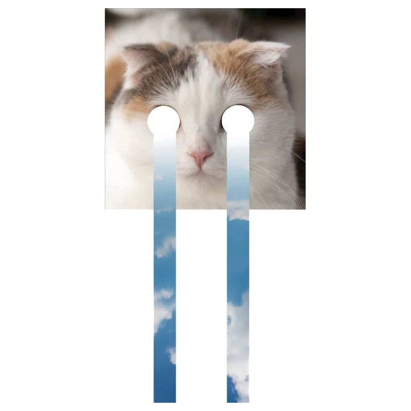 LE CHAT ET LE CIEL