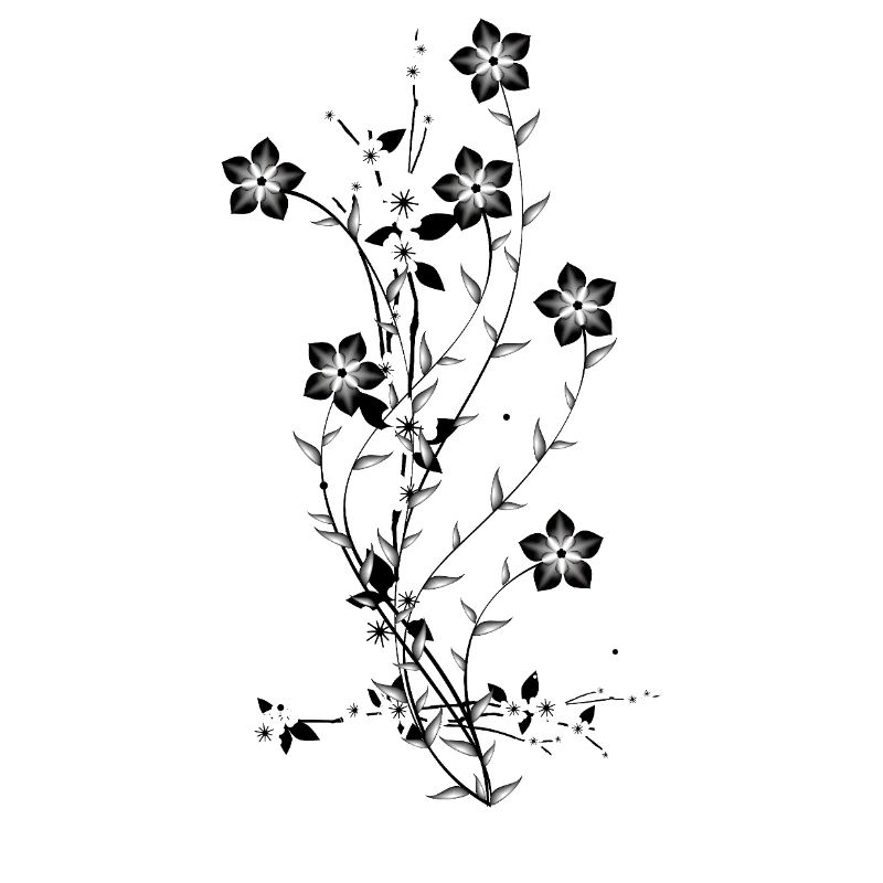 Flowers bursting with absolute contrast