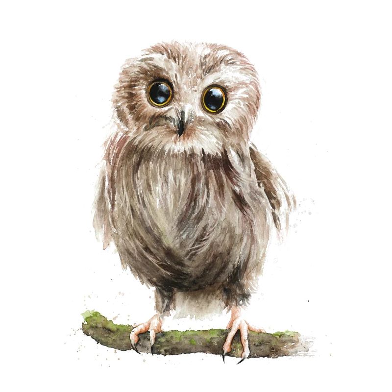 eule