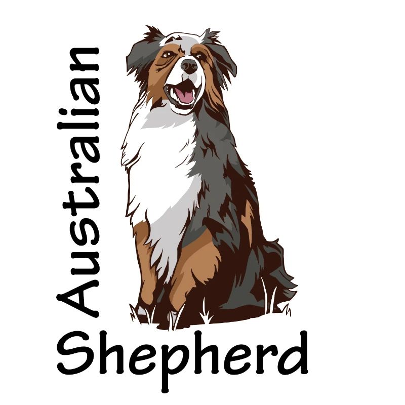 Australian Shepherd süßer Hund