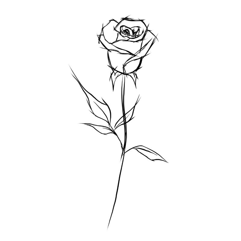 Rose "black"