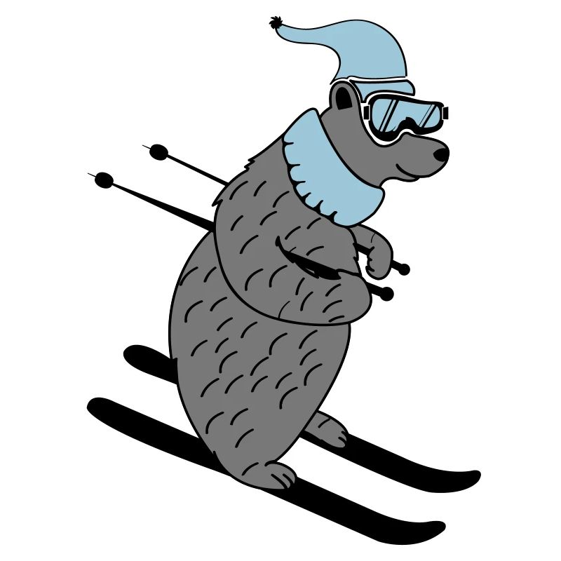 ski baer 02