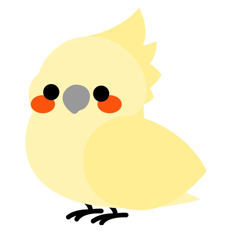 Calopsitte jaune
