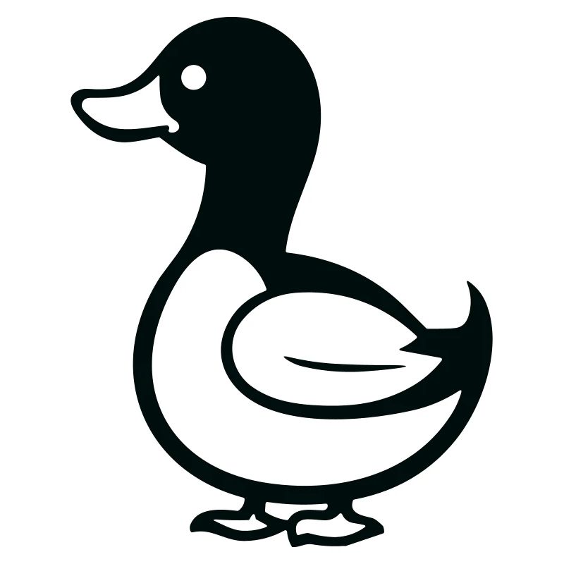 canard