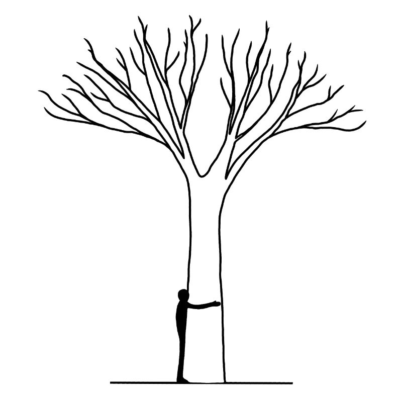 Mann umarmt Baum