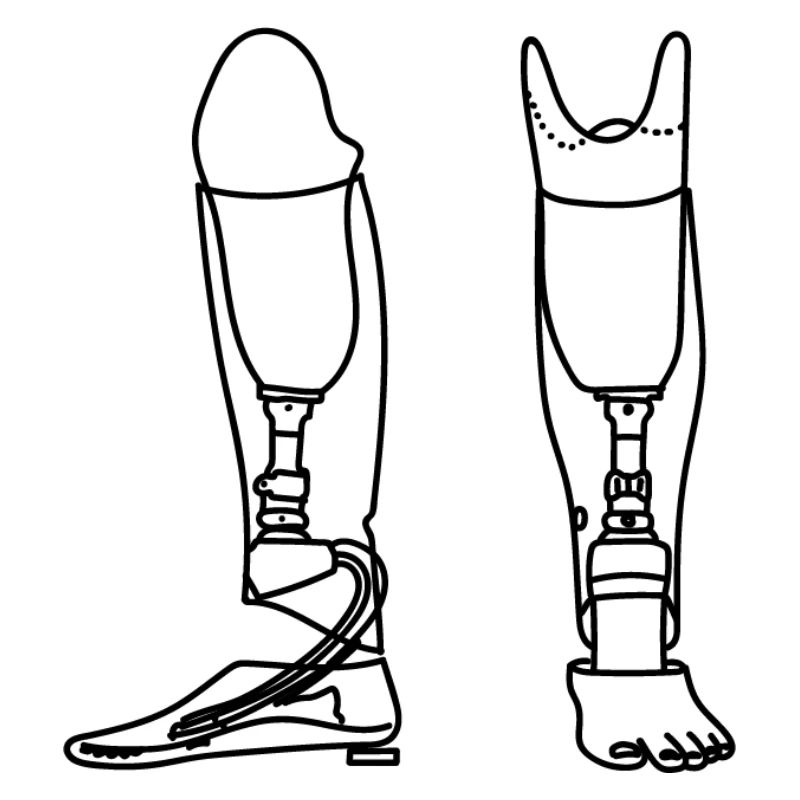 Lower leg prosthesis sketch