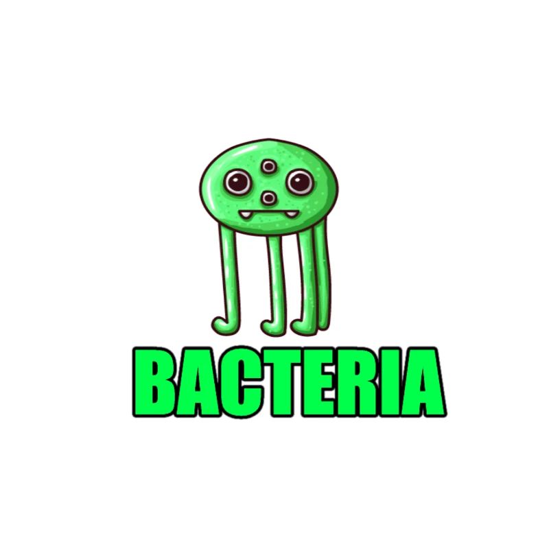 Les bactéries