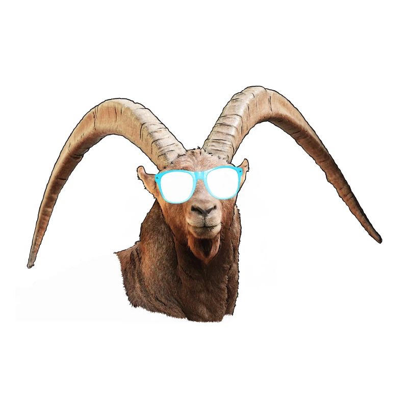 angesagter Steinbock