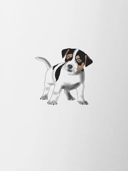 cute Jack Russell Terrier