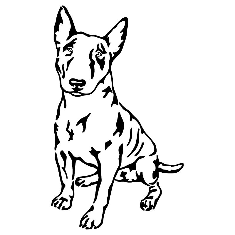 Bull terrier
