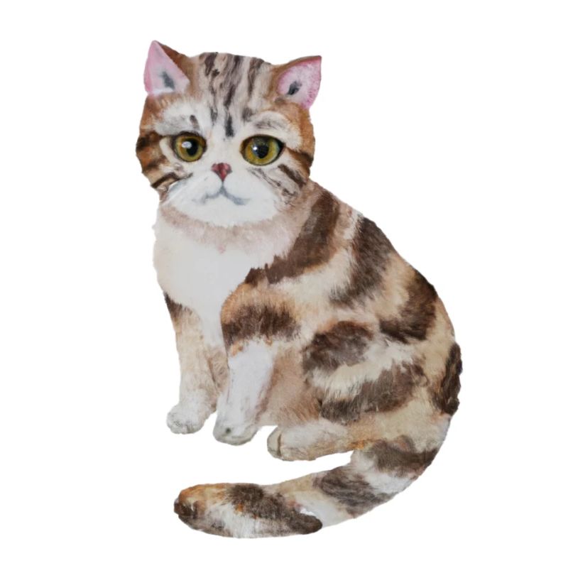Süße Katze