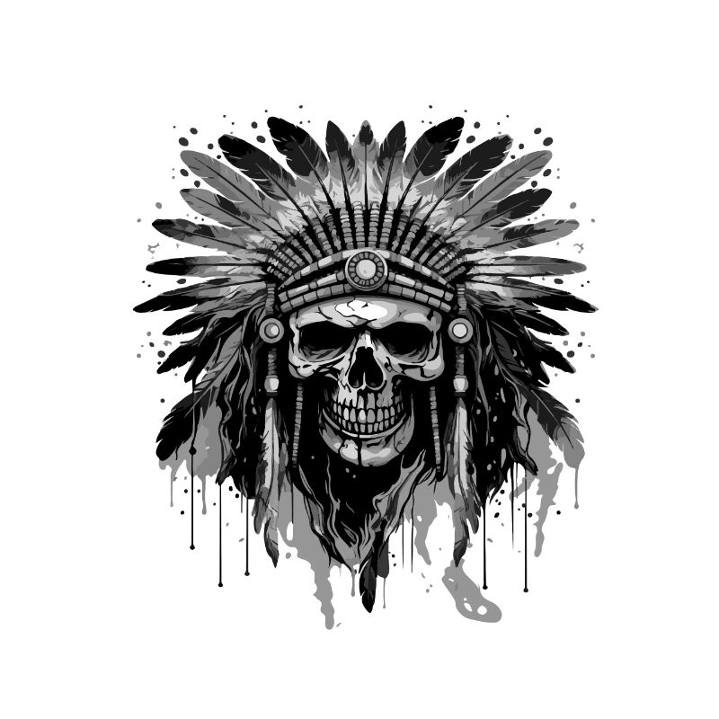 Apache Skull Native American