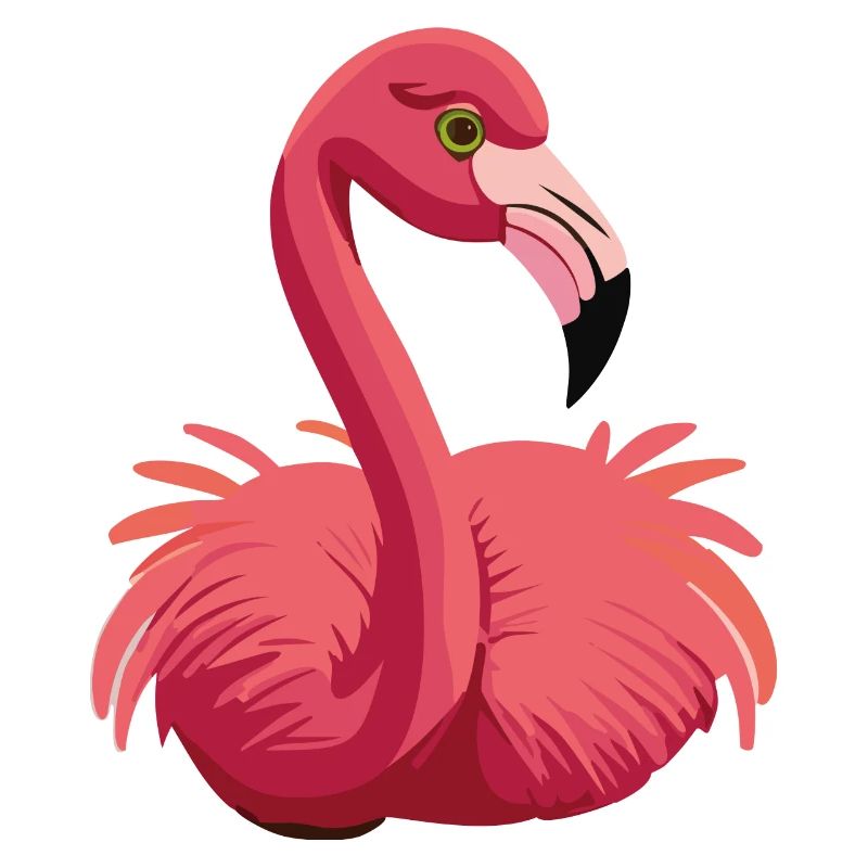 flamingo