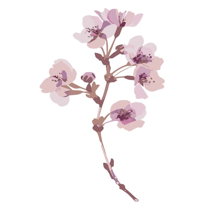Cherry blossom sakura illustration sticker