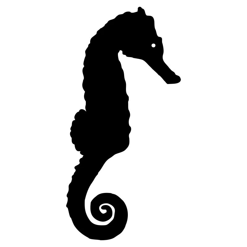 cheval de mer