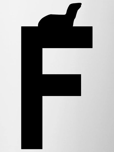 F furet/fouine