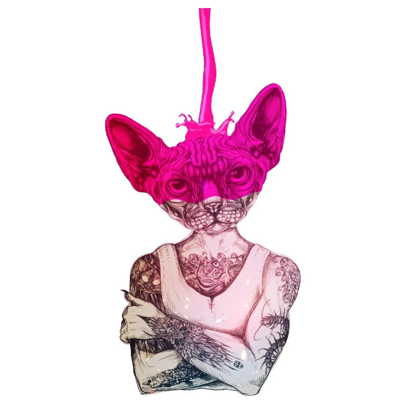 Sphynx Cat COULEUR