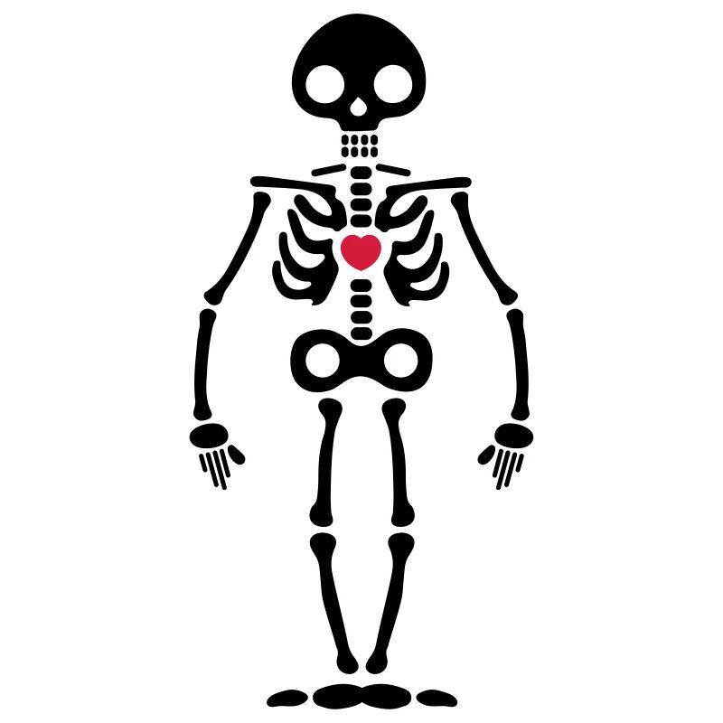 skeleton