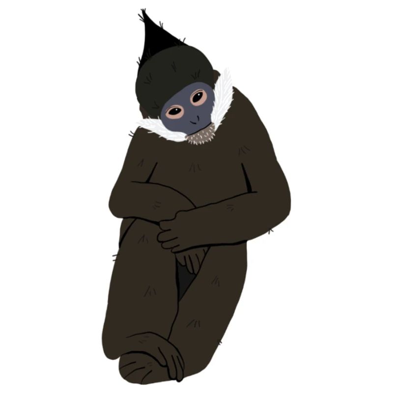 Langur von Francis