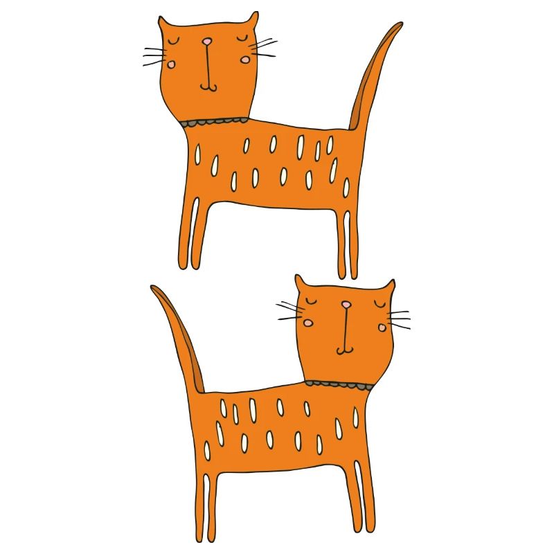 Chat Orange Double